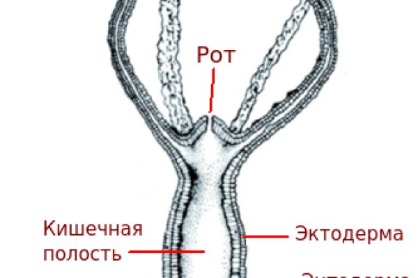 Даркмаркет кракен