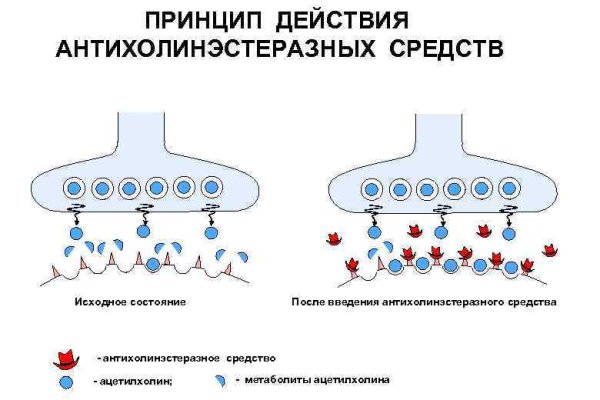 Что с кракеном сайт на сегодня
