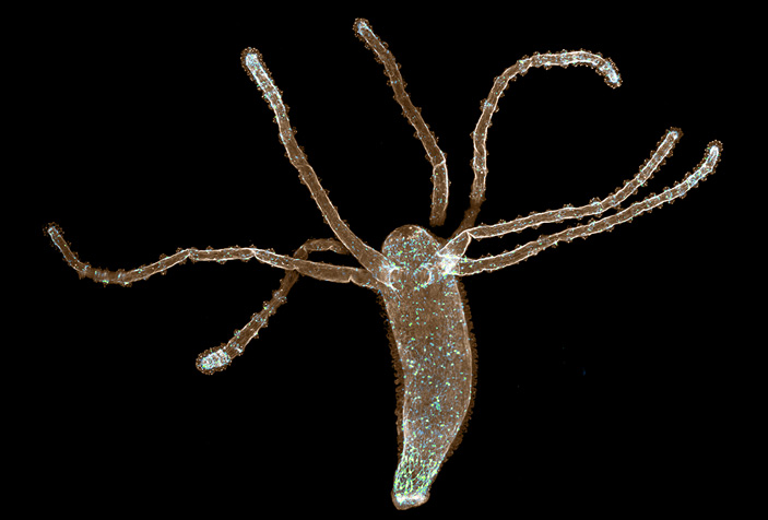 Kraken зеркало kr2web in